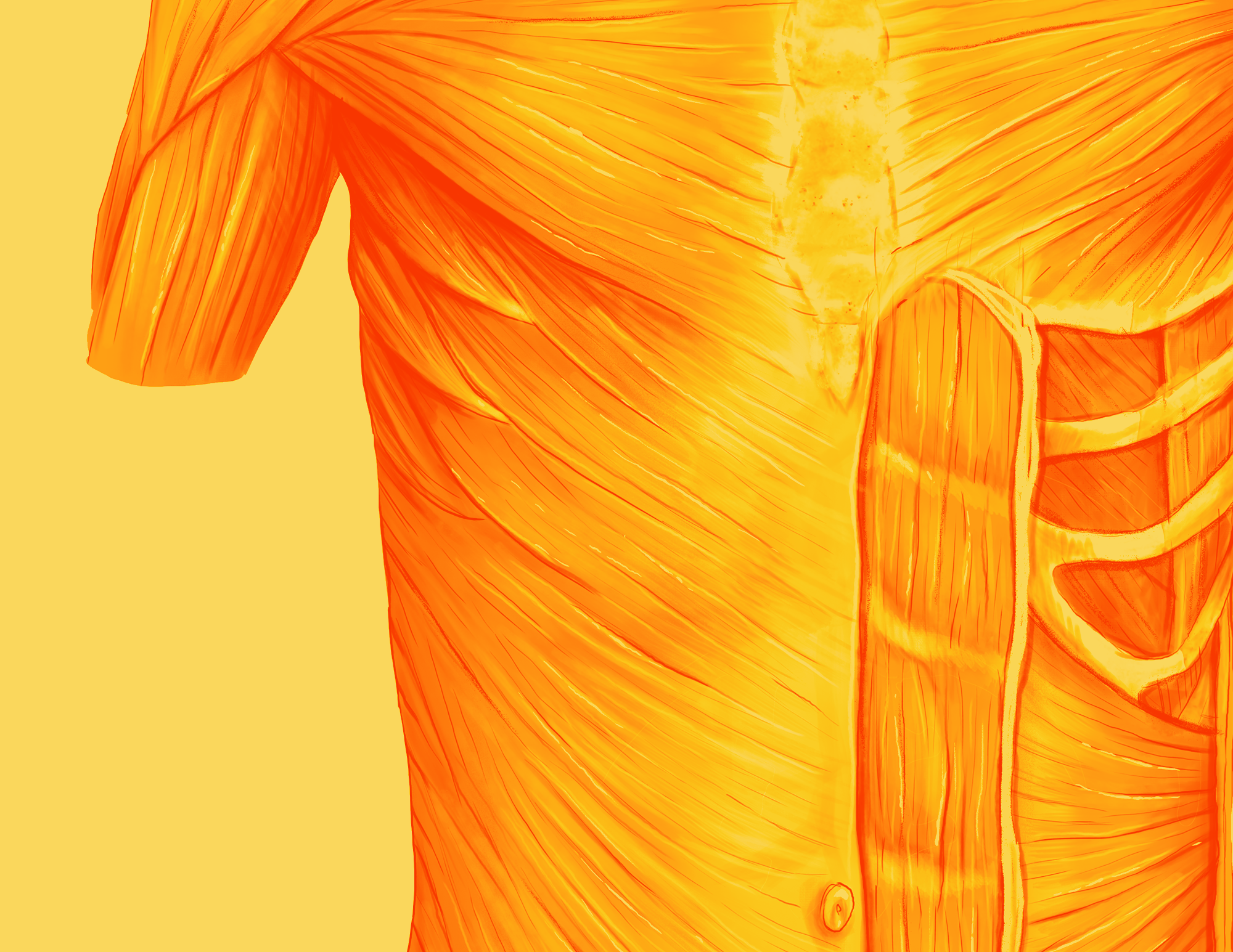 Intestinal Failure & Abdominal Wall Day