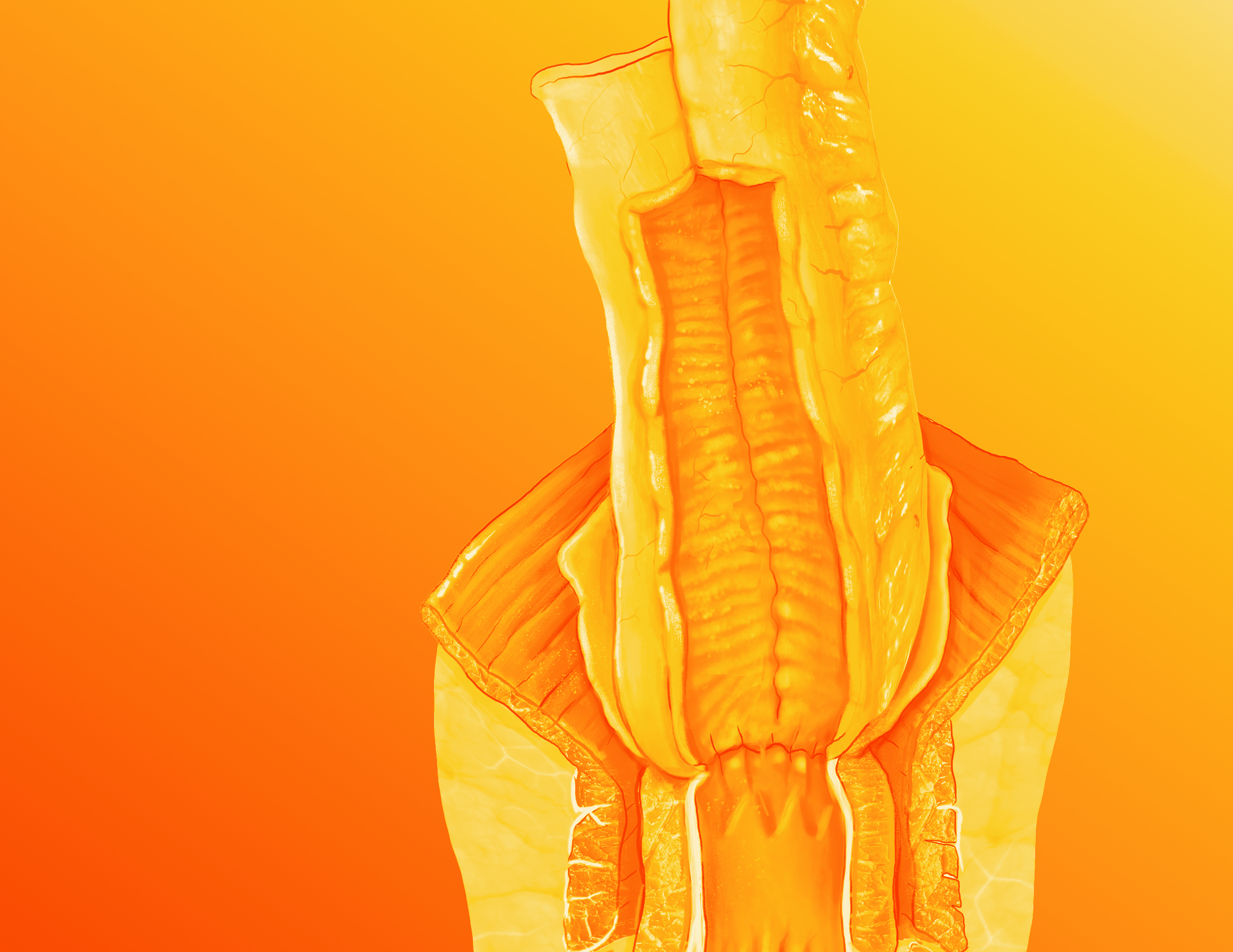 ACPGBI 2026: Advanced IBD Surgery Course
